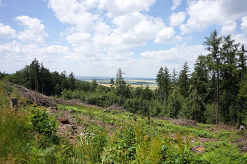 Wzgórza Kiełczyńskie, Polska © Strumyk