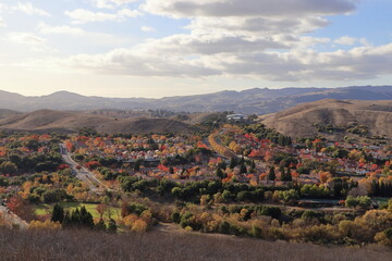 Fototapeta premium Autumn foliage lines the streets of San Ramon Valley in Northern California