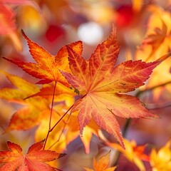 Autumnal Maple Leaves in Vibrant Hues