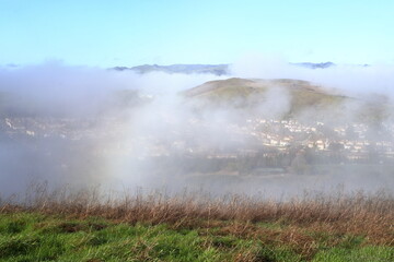 Fogbow on a winter morning in the hills above San Ramon valley, California
