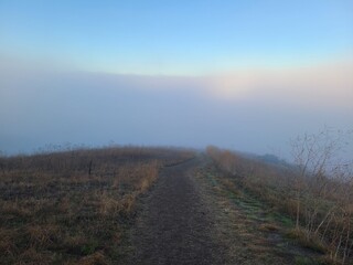 A hiking trail above the clouds in the hills of San Ramon on a foggy winter morning