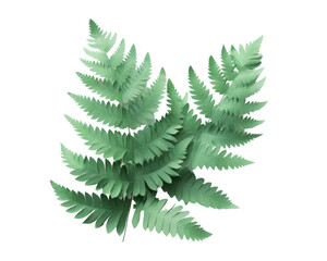 Obraz premium A close-up of a lush green fern frond with intricate details. The delicate fronds create a natural and organic pattern.