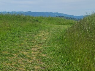 The Diablo Vista trail in the spring, San Ramon, California