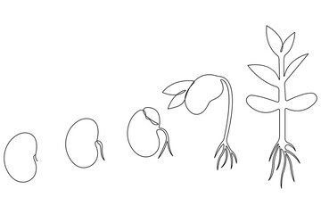 Plant growing continuous one line art drawing of tree plant outline vector illustration
