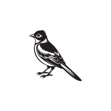 recommend clip art: Bird vector line art and  illustration
