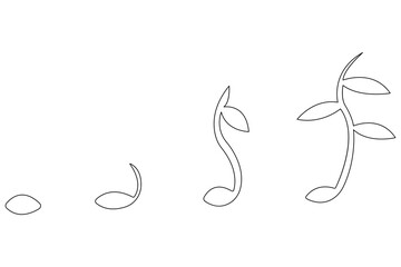Continuous single line art drawing of plant growth processing from seed outline vector
