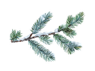 Pine branches covered with snow on transparent background