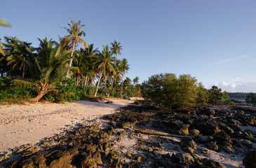 Day on the tropical beach with coral rocks and cocnut palm trees.