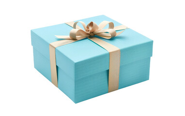 Obraz premium Solitary Azure Present Case