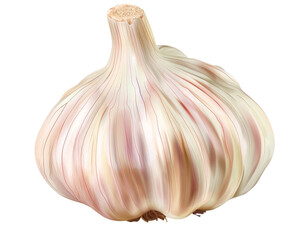Obraz premium A single, whole garlic bulb with a papery skin, isolated on a white background.