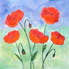 Naklejka premium Red poppy flower watercolor illustration, summer bouquet of field poppies flowers, children naive painting style watercolour art 