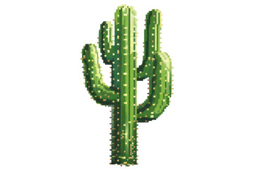 A tall green cactus with multiple arms stands against a black background.