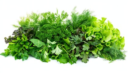 Fototapeta premium A picture showcasing an assortment of different greens against a white backdrop