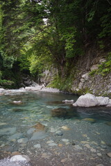Fototapeta premium 山中に流れる清らかな川。