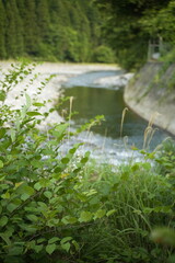 山間の田舎に流れる清流