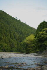山中に流れる清らかな川。