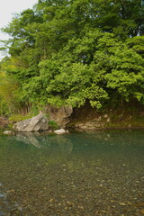 山中に流れる清らかな川。
