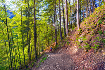 Fototapeta premium Wanderweg vom Seealpsee nach Wasserauen, Kanton Appenzell Innerrhoden (Schweiz)