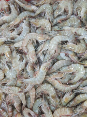 Pile of fresh shrimps on market stall.
