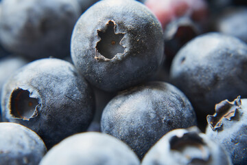 borówka amerykańska w przybliżeniu  © Marcin Łazarczyk