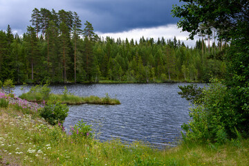 Beautiful lake in Sweden forest