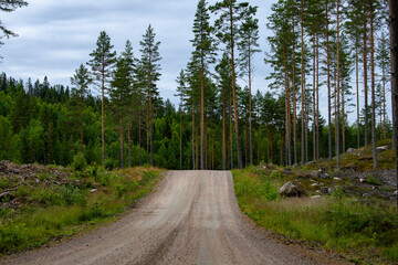 Obraz premium Gravel road in Sweden