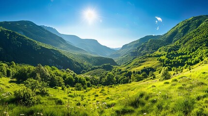 serene mountain valley landscape with lush green vegetation and clear blue sky nature photography