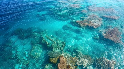 Obraz premium Reefs and shallow