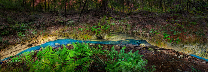 Sink Hole Illuminated at Night in Florida © Guy Bryant