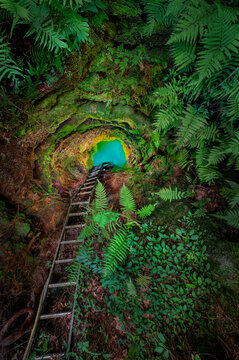 Jess's Hole, a Sink Hole Illuminated at Night in Florida