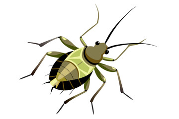 Aphid  vector artwork and illustration svg file