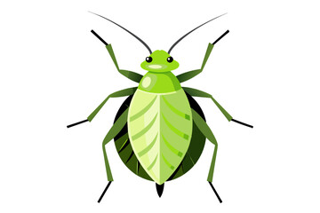 Aphid  vector artwork and illustration svg file
