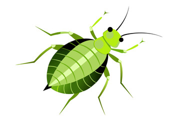 Aphid  vector artwork and illustration svg file