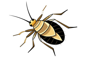 Aphid  vector artwork and illustration svg file