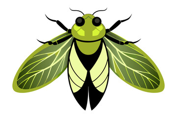 Cicada  vector artwork and illustration svg file