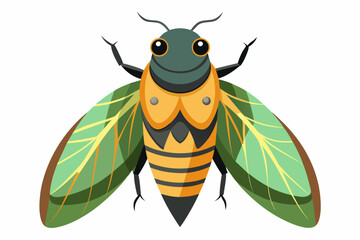 Cicada  vector artwork and illustration svg file