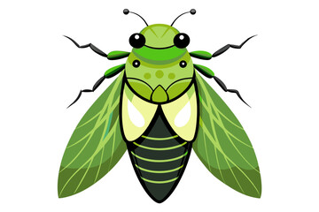 Cicada  vector artwork and illustration svg file