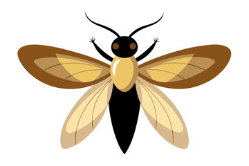Firefly  vector artwork and illustration svg file