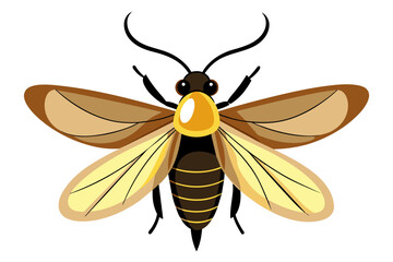 Firefly  vector artwork and illustration svg file