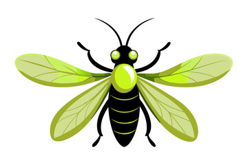 Firefly  vector artwork and illustration svg file