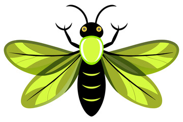 Firefly  vector artwork and illustration svg file