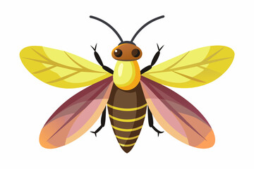 Firefly  vector artwork and illustration svg file