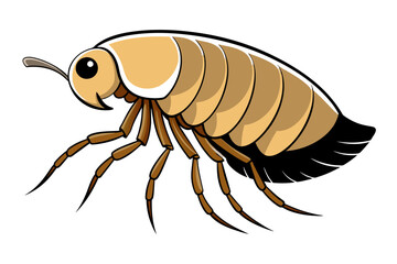 Flea  vector artwork and illustration svg file