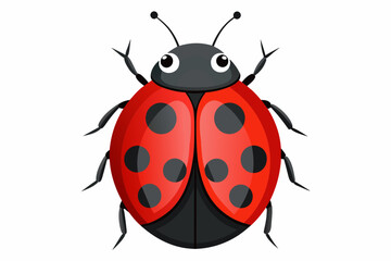 Fototapeta premium Ladybug vector artwork and illustration svg file