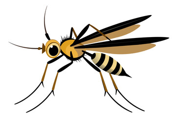 Mosquito vector artwork and illustration svg file