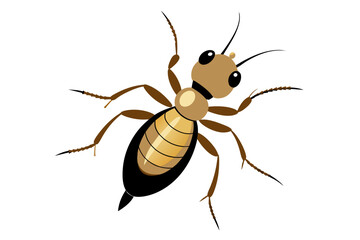 Termite vector artwork and illustration