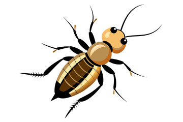 Termite vector artwork and illustration