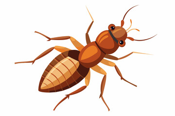 Termite vector artwork and illustration