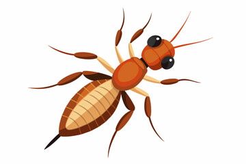 Termite vector artwork and illustration