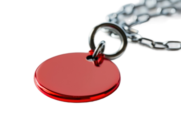 Personalized Pet Identification Tag for Safety